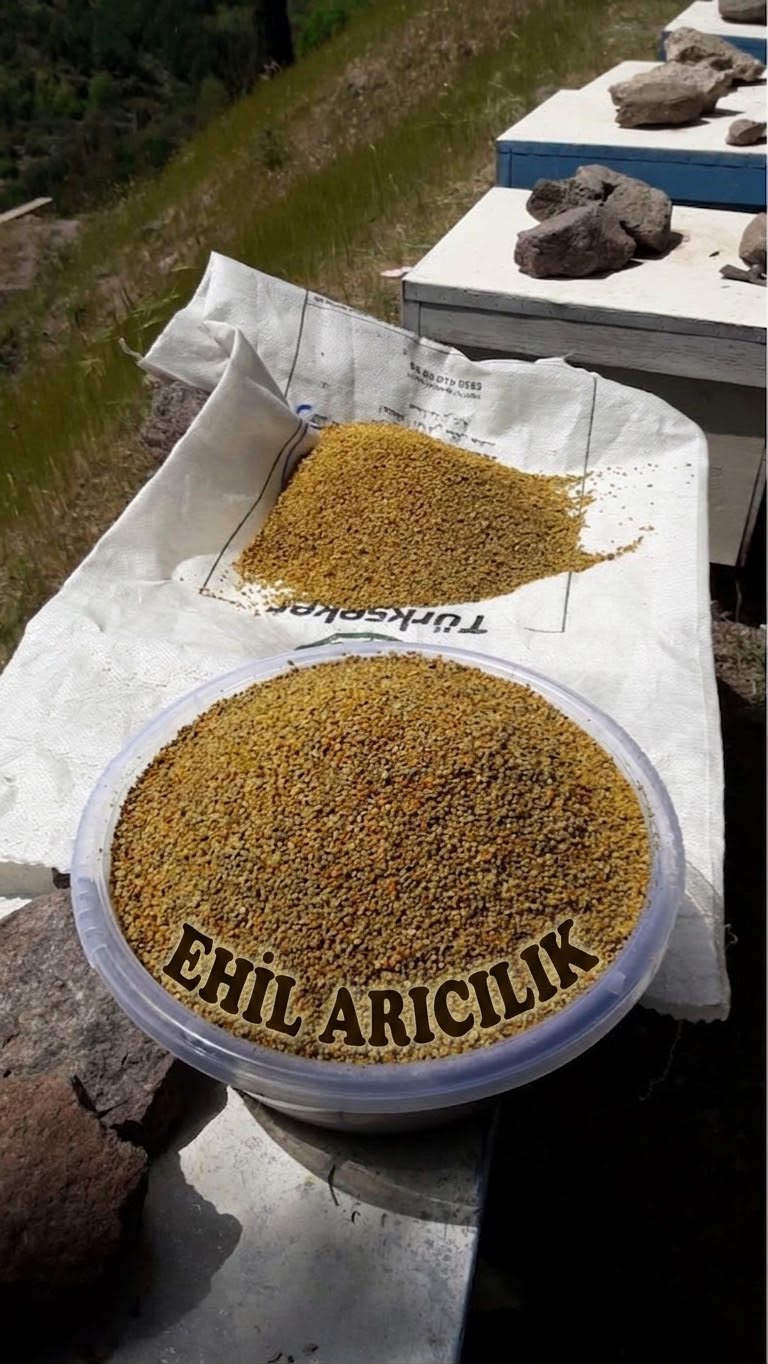 Ehil Arıcılık